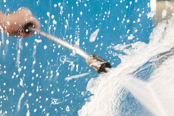 Animal Enclosure Cleaning in Agoura Hills, CA