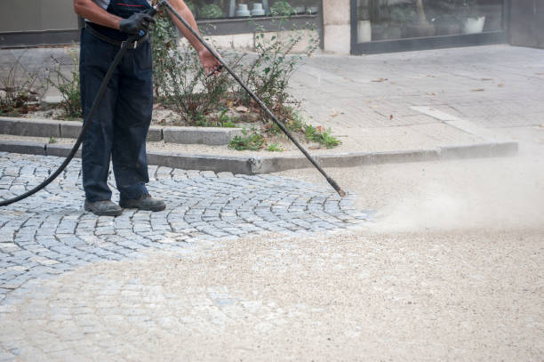 Best Soft Washing  in Agoura Hills, CA